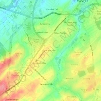 Buena Vista topographic map