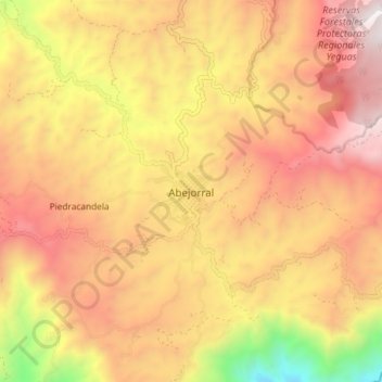 Abejorral topographic map, elevation, terrain