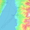 Reggio Calabria topographic map, elevation, terrain