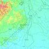 Bhubaneshwar topographic map, relief map, elevations map