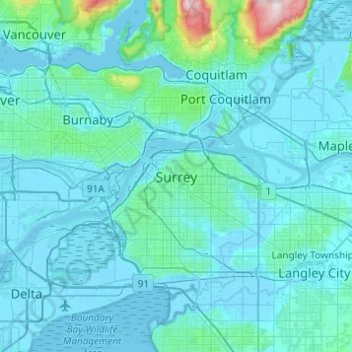 Surrey topographic map, elevation, relief